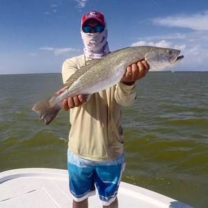 Meet your Posher, Ty